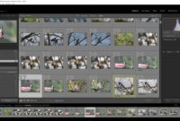 Buy lightroom classic