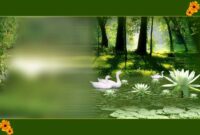 Get photoshop for free