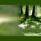Get photoshop for free