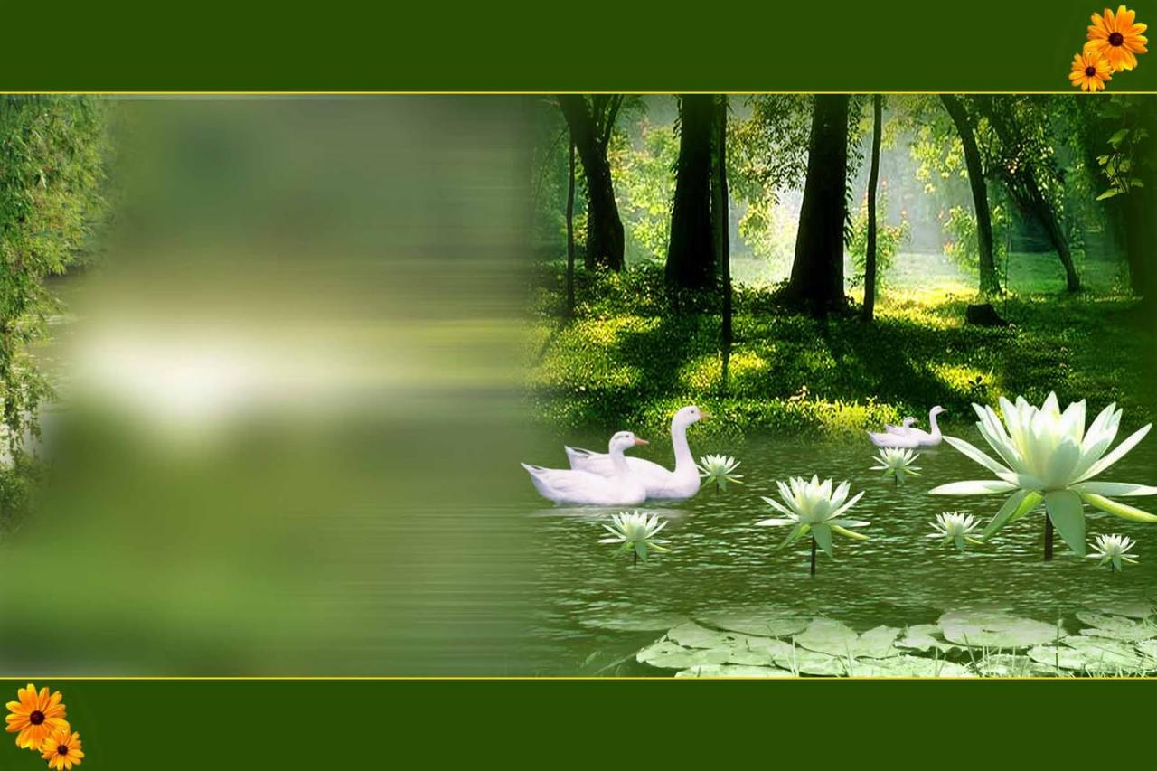 Get photoshop for free