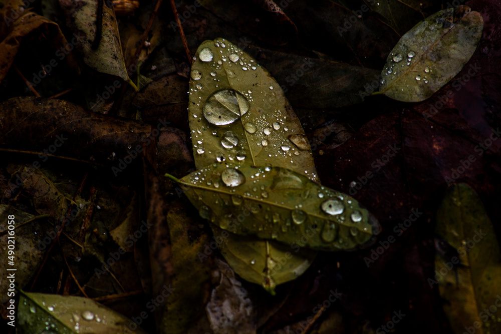 Adobe photography