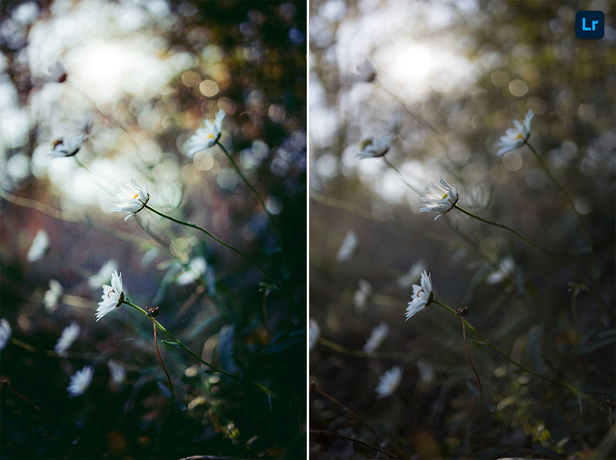 Lightroom editor Lightroom editor