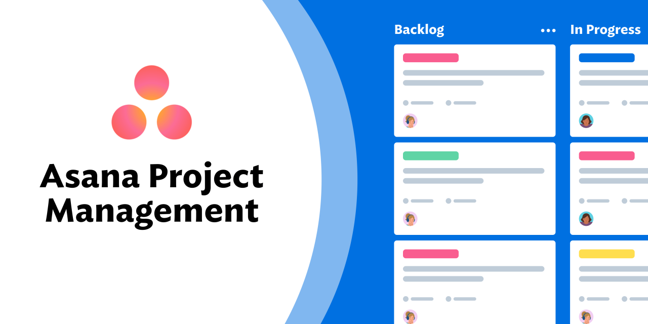 Asana project management