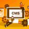 Case management system