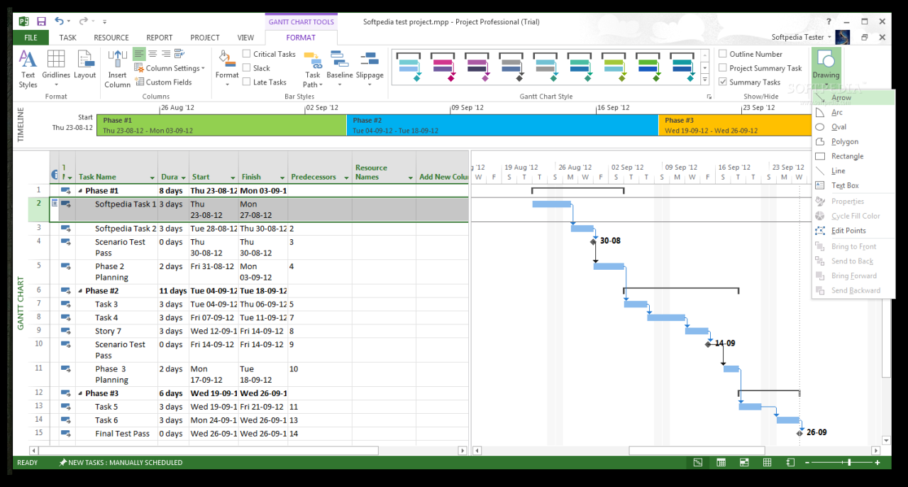 Microsoft project download