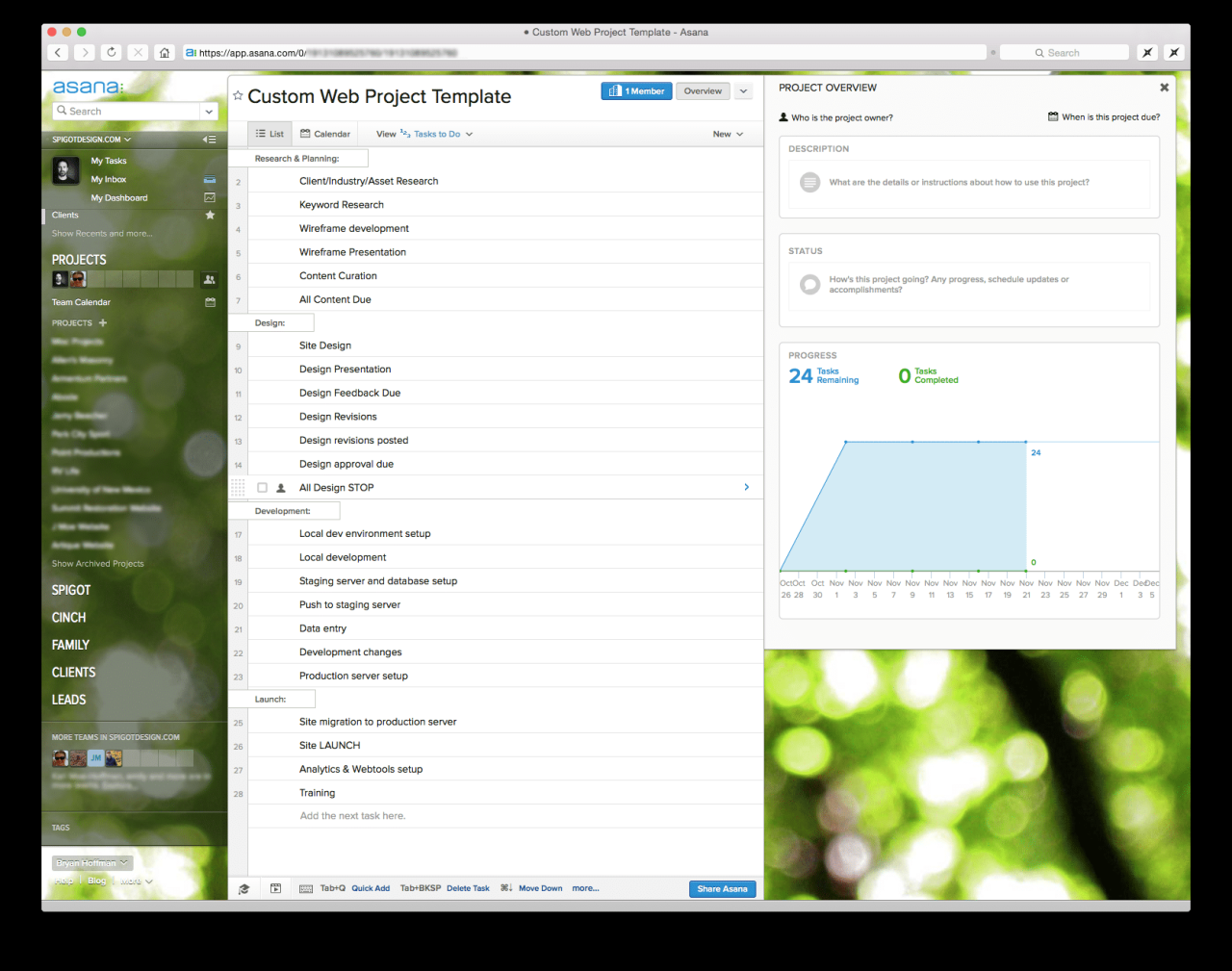 Asana project management