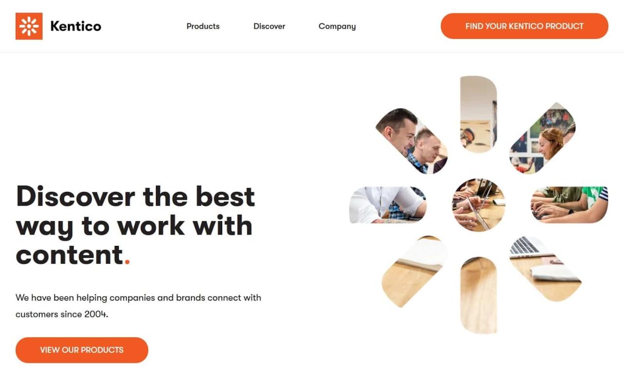 Cms software