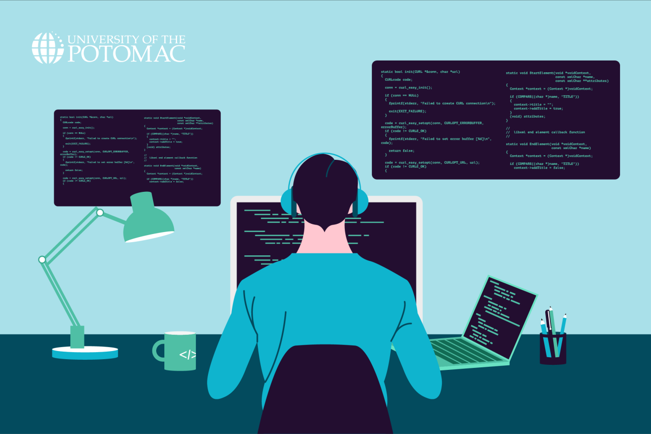 Software developer