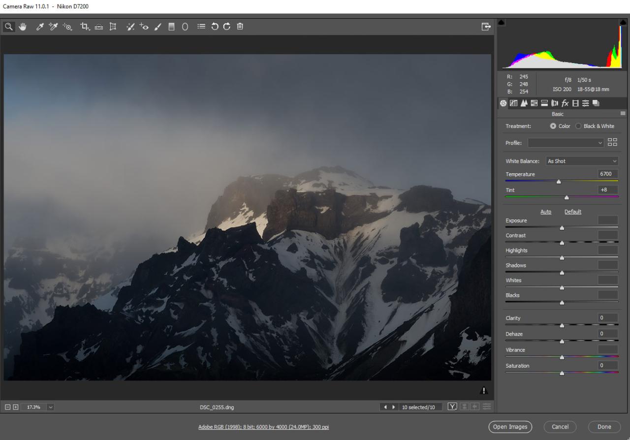 Raw camera adobe Raw camera adobe