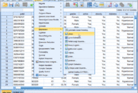 Spss softdeluxe