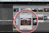 Lightroom online free