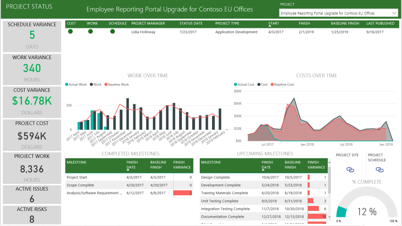 Microsoft project online