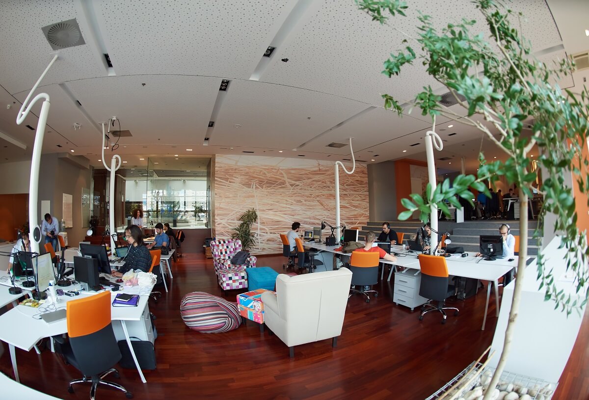 Software development company