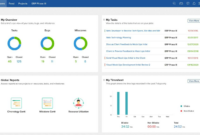 Zoho projects