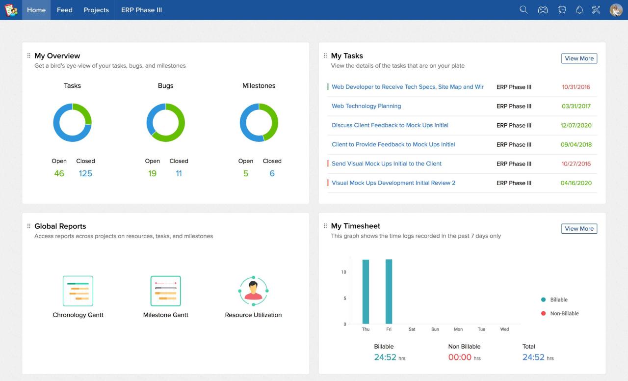 Zoho projects