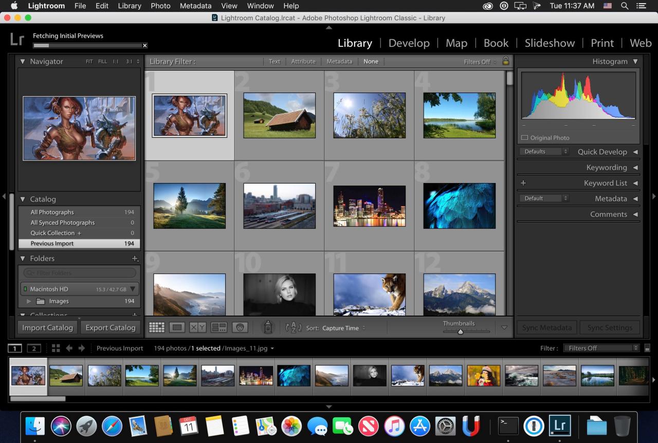 Adobe Photoshop Lightroom Classic CC 2019 v8.4.1 download | macOS Adobe Photoshop Lightroom Classic CC 2019 v8.4.1 download | macOS
