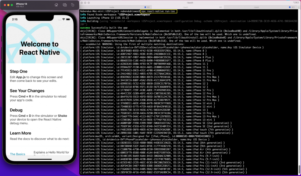 Native react Native react
