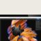 Adobe