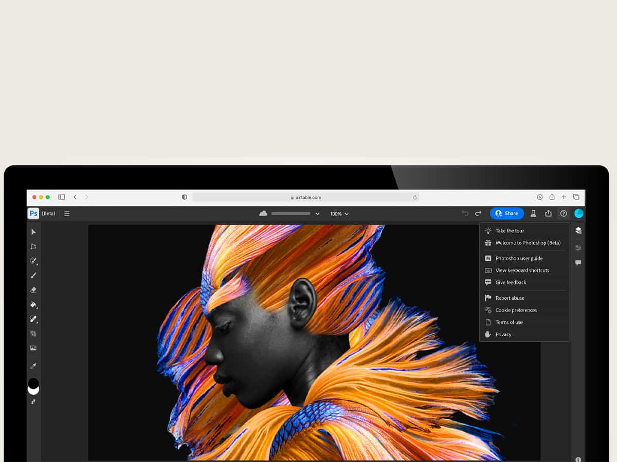 Adobe Adobe
