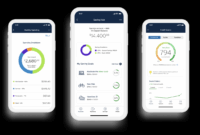 Citi mobile app
