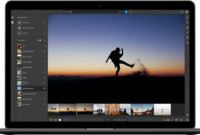 Lightroom cloud