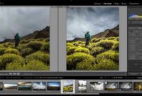 Buy lightroom