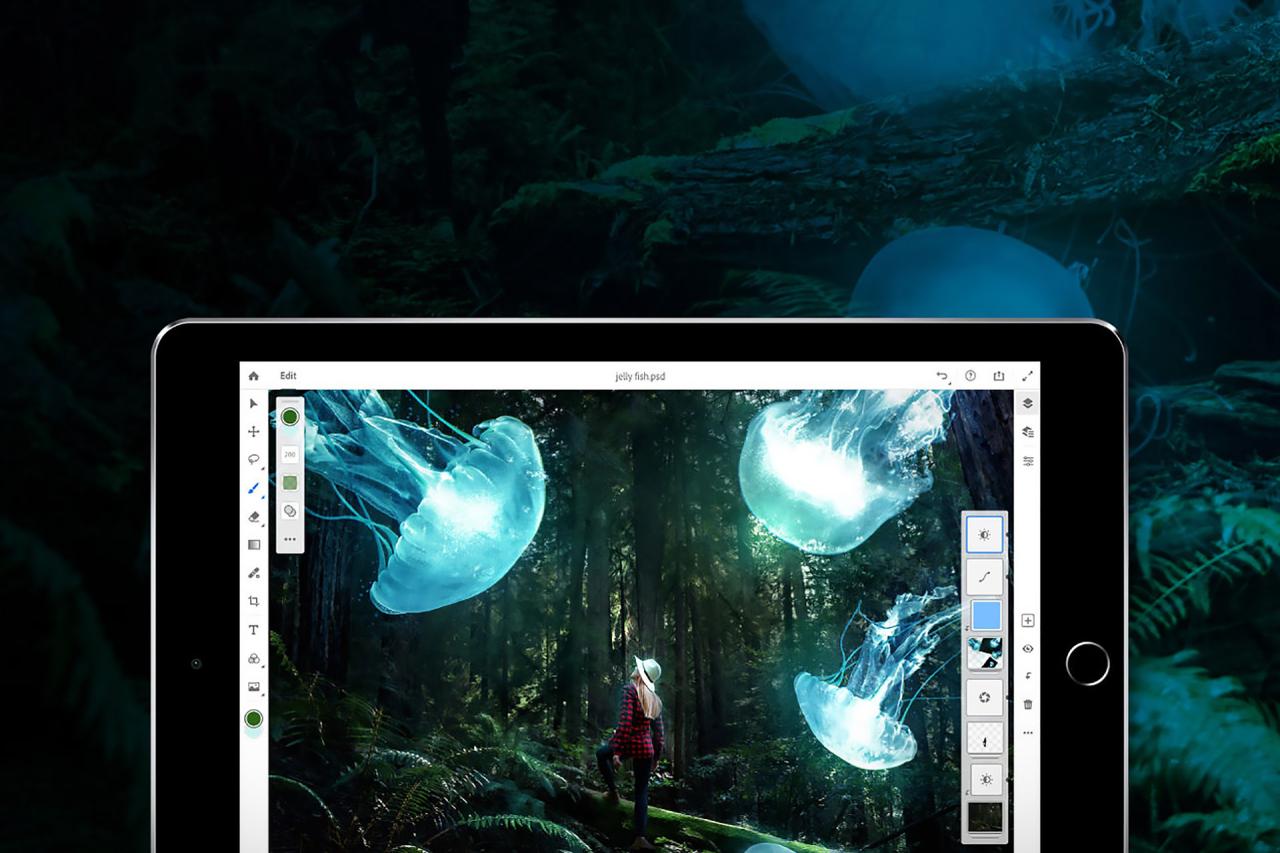 Adobe arrives making appadvice Adobe arrives making appadvice